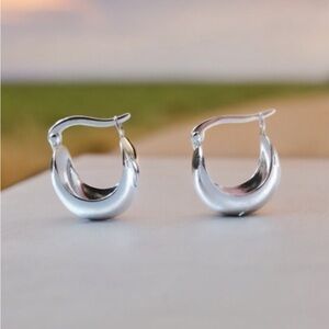 COPY - - Sterling Silver  Huggie Hoop Earrings